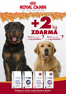 rc-plagat-A3-2kg-zdarma-02-Stranka-3